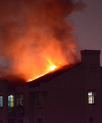 ����С�����̲�Է�Ż���