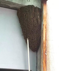 ̫����ˣ�����һ�����и������� �������������ô��ͼ��