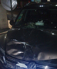 ����һ����綯���ķ����ڼ���ׯ�۸���ͻ����������