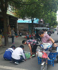 ���������������Ǽ٣��Ҿ͵���������ġ�