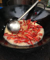 ����027��������Բ�֪���ļ�����óԵ�С��Ϻ