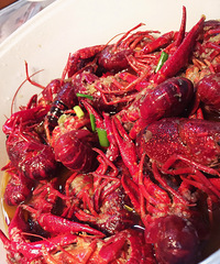 ���ҵ�С��Ϻ����ơ�����Ƶ�Ŷ