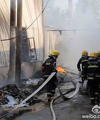 ͻ������������һ�ѷ�ľ�۵Ĳʸ����ڷ�������