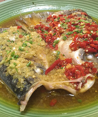 �����˺����� ���ù�ζ��