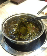 ������������˹��� ƾ��ӰСƱ��������С˵