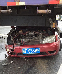 �����ģ��γ�ɲ������һͷ�����������ȥ��