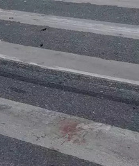 ���þƵ�·�ڹ��̳�ײ�ϵ�ƿ����·�����³���ɲ��ӡ��һ̲Ѫ��