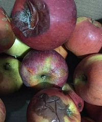 ƽ��һ��ҵ�����︣��������������ƻ����