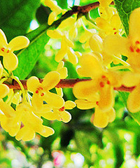 �������ġ�Ѱ�Ҽ��˹������ĵط�