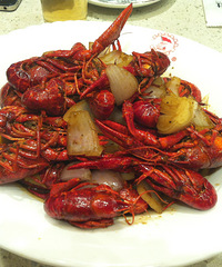 ���˶��繫��ҳ�С���ʵ�һ��