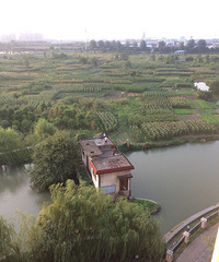 ��Ů���У���ͺ��ᣬ�ڵ���͵�����ף��ڷ�