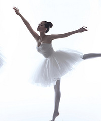 ����ʱ�����ռǡ�֮��ɹ����ա�һ������һ���衣