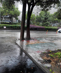 ÿ��̨��ͱ��������ǹ�˾�ſڻ��һ���ӣ�