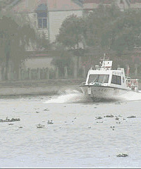 �̼�������ӭ��ˮ�С��ܳ���