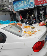 ���ƣ����������ԡ�ͣ�����������ԡ�Ϳѻ��