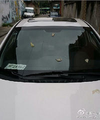 ����˭�ɵģ����粣���ϱ����˺ü����ù��ı����ף�