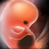 ����!������������