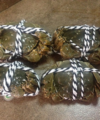 �ڼ���Ҳ�ܳԵ���ô�õ��з