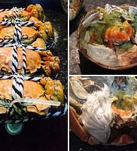 �ڼ���Ҳ�ܳԵ���ô�õ��з