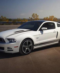 [����]�����㿪��������ʲô��