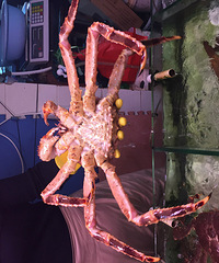 [��ʳ]ʵ�������ൺ��Ϻ �����Լ����������