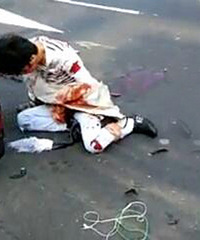 ���ƣ�Сë¿����ƽ������α�ײ�� �·���Ⱦ����