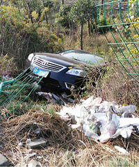 ���ŵ�ɲ����������������ȥ�����ò�Ʋ���