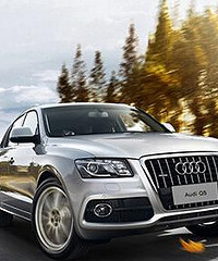 [����]�����ʳ����������а�TOP5