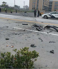 է������·�ڣ��������ŵ�