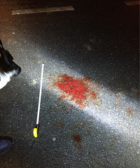 ��������·��mtȦ�Ӿư����˱���������˵������˵��������