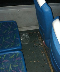 ����������������ʣ�