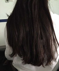 2015��11��19�ŵ���ͥ������������