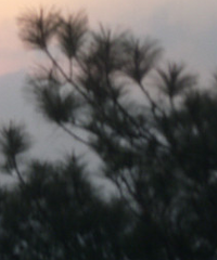 ʦMM 23 6w  ҸҺõТ˳