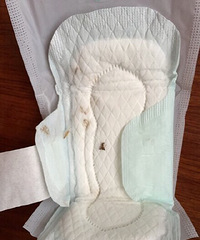 ���������һ������������ģ�������𣿡�