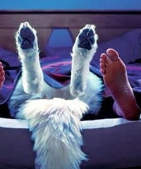 �����4�� ��Ϊ���Ѵ��̥ û�뵽���ǰܸ���С��