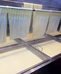 ��ҵ�̫����!��Ƥ�������� �����û����