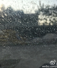 ���������Ž�����ѩ�ˣ�����ããһƬ�ϰ�ֻ�ܴ����֣�