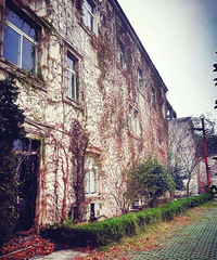 ���˻�����ô���Ķ����羰����ֹ������·��������·�����ɣ�