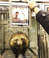 ����С�����֡����꾫�� ����������һ��