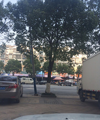 �蹫��·��̫��Է���ſ��ϣ�¶�Ƹ˿�Ҫ����