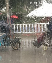 �����ˣ�ƽ��ʥ�׿˸����綯���������������зɳۡ���