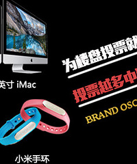 ƻ������/iPad/100��С���ֻ� �����