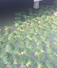 �����߲��г����߲˾�Ȼ�����㣡