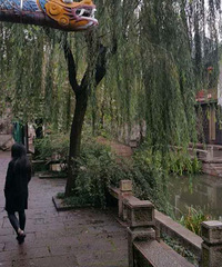 94年的新嘉兴人 负责贤惠 我喜欢有上进心的男人