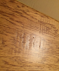 ����������ĳ���Ƶذ壬��Ȼ�����������⣡����~