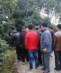 ��ͻ������ɷ�����컯��֮�� һ��ͷ��С���������ϵ�