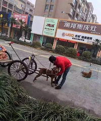 ����#ɽկ��ʥ������# �����ް������ֳ���������