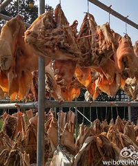 �������壺�������ɹ���⾰��׳�ۣ�