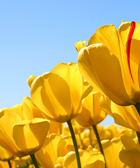 ��ҵ���Ƶ�λ���������Ǹ���ͳ���� ���Ҹ��������ĵĶ���