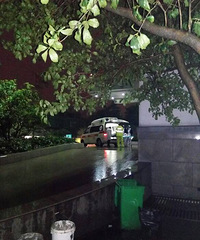 ���ģ�Ů��ײ��Υͣ������ͷ��Ѫ��һ������ ·���Ӷ�����